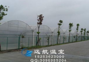 河南連棟薄膜大棚 高效農業的“透明外衣”